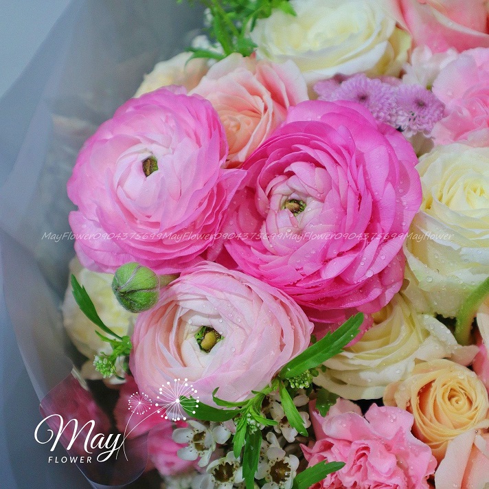 bo-hoa-ngai-ngung-4-2