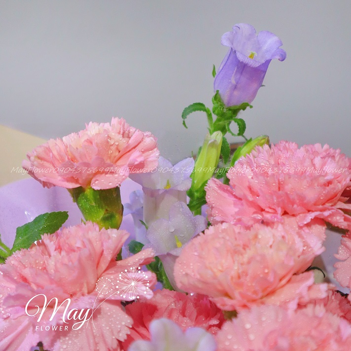 ngan-loi-yeu-thuong-2