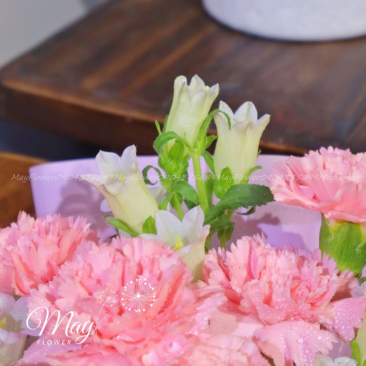 ngan-loi-yeu-thuong-3