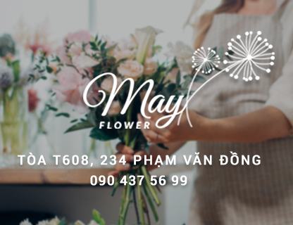May Flower - Shop hoa tươi ở Hà Nội | Dịch vụ đặt hoa tươi online và giao hoa tận nơi tại Hà Nội