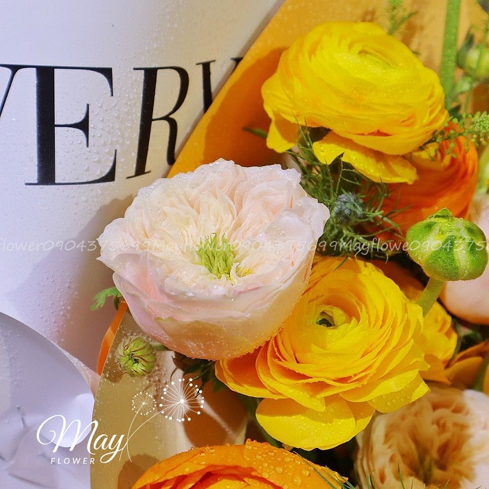 hanh-phuc-nho-nhoi-3