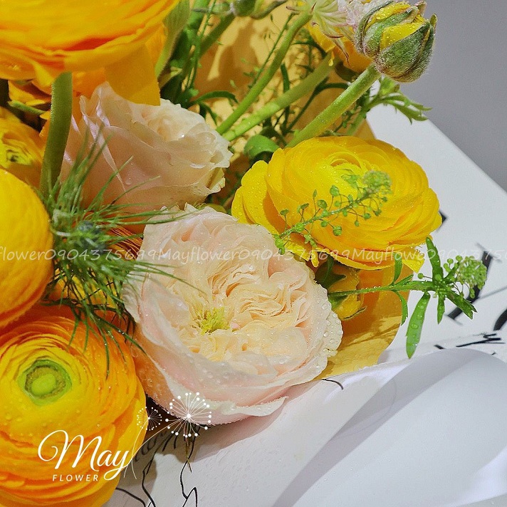 hanh-phuc-nho-nhoi-2