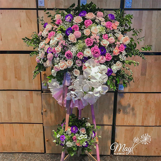 khai-truong-nhiet-huyet