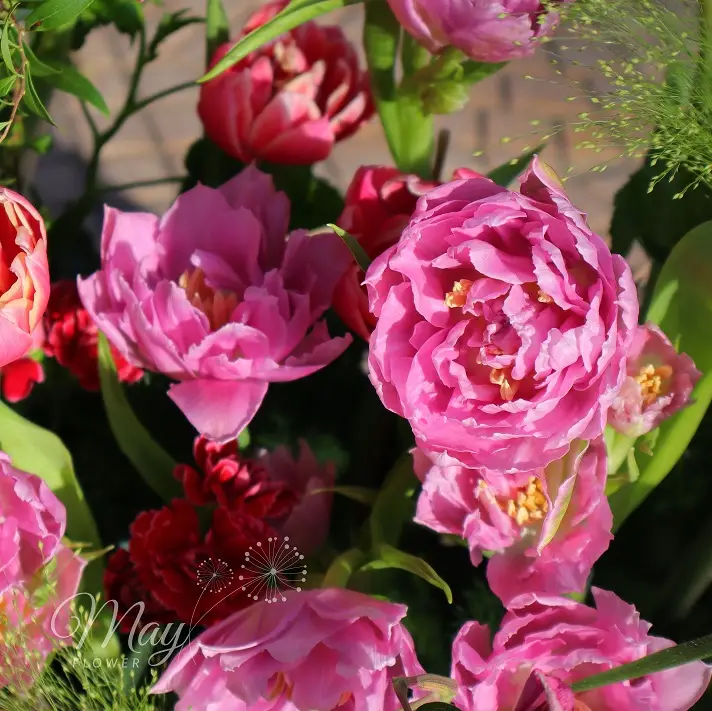 ngap-tran-huong-sac-2