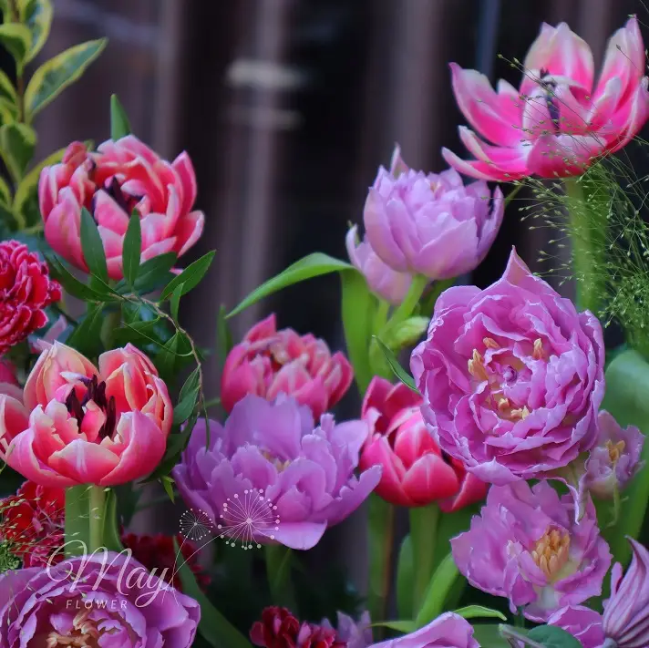 ngap-tran-huong-sac-3