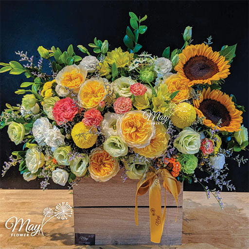 huong-ve-phia-mat-troi