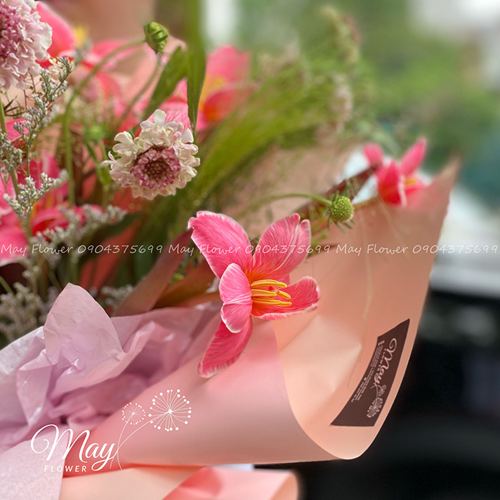 sac-hong-yeu-thuong-2