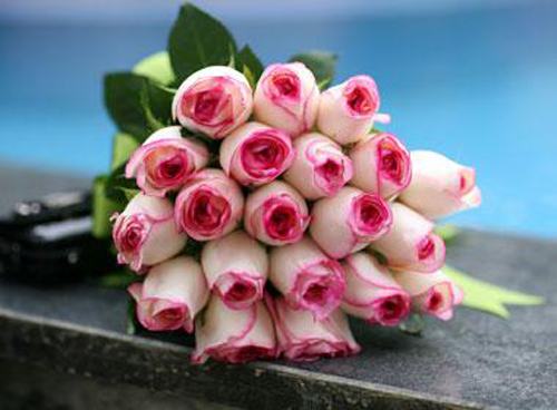 Bạn có muốn tặng một món quà đầy tình cảm và ý nghĩa cho người thân yêu của mình? Hãy đến với Hoa tươi May Flower để tìm kiếm những bó hoa đẹp, tươi tắn và bắt mắt nhất. Chắc chắn rằng những bông hoa đầy màu sắc này sẽ mang đến nụ cười hạnh phúc cho người nhận.