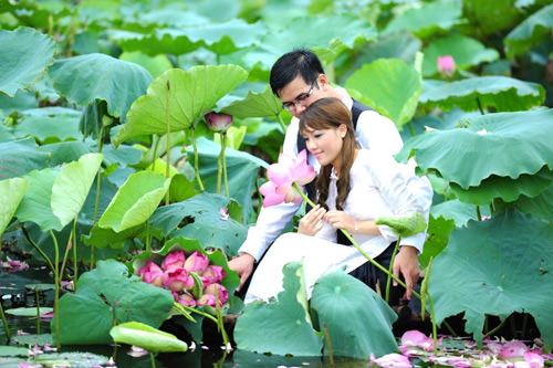 Địa chỉ vườn hoa chụp ảnh cưới đẹp ở Hà Nội - Cửa hàng hoa tươi ...