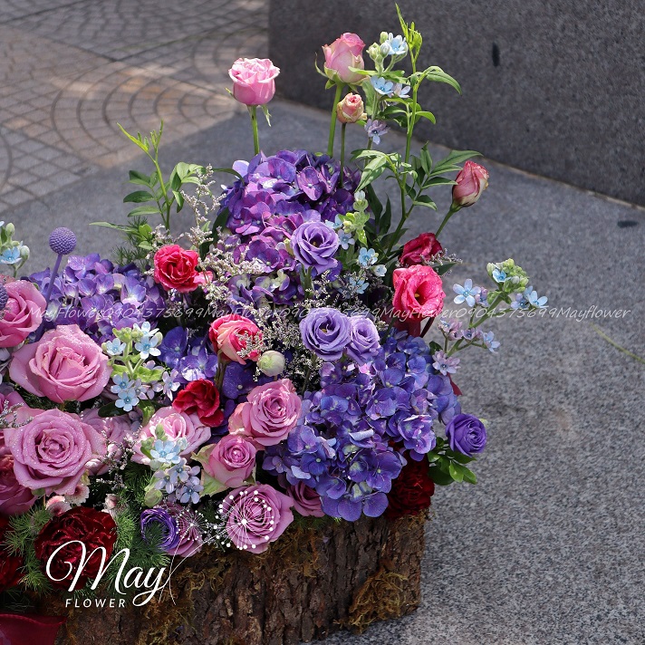 troi-giau-troi-mang-di-1