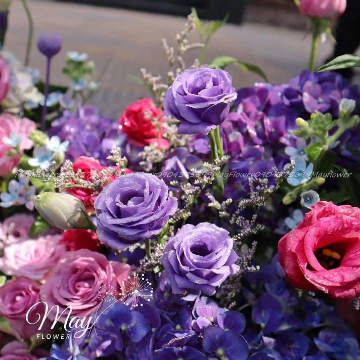 troi-giau-troi-mang-di-3