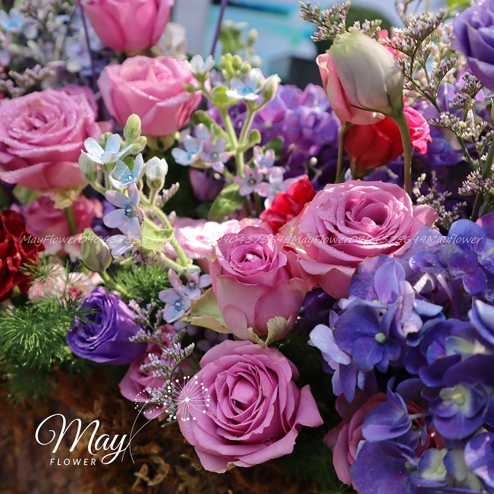 troi-giau-troi-mang-di-2