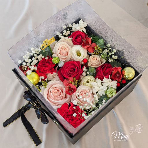 giang-sinh-hanh-phuc