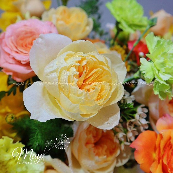 cung-chuc-tan-xuan-2