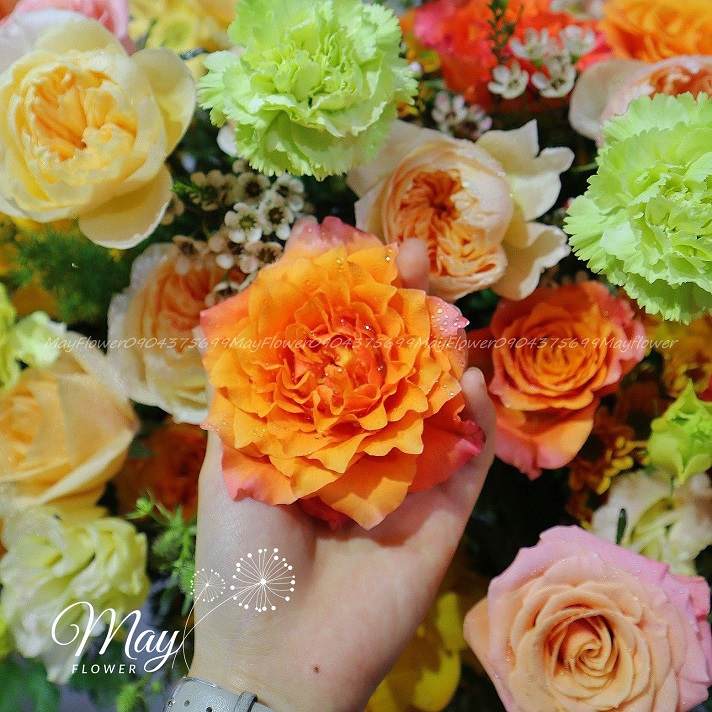 cung-chuc-tan-xuan-3