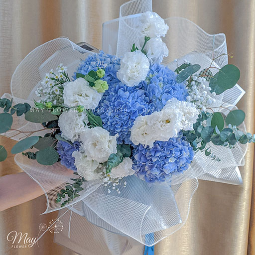 Cam-tu-cau-nhap-Ha-Lan