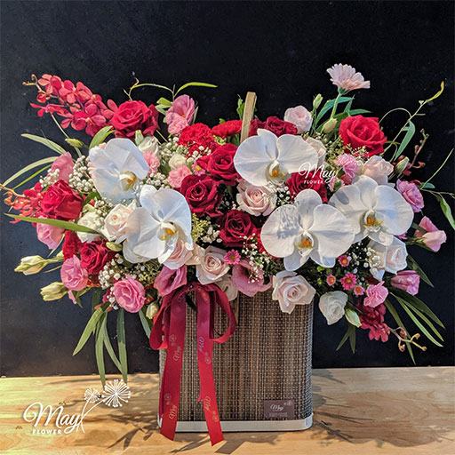 Hoa tang thay co 20/11 - lan ho diep