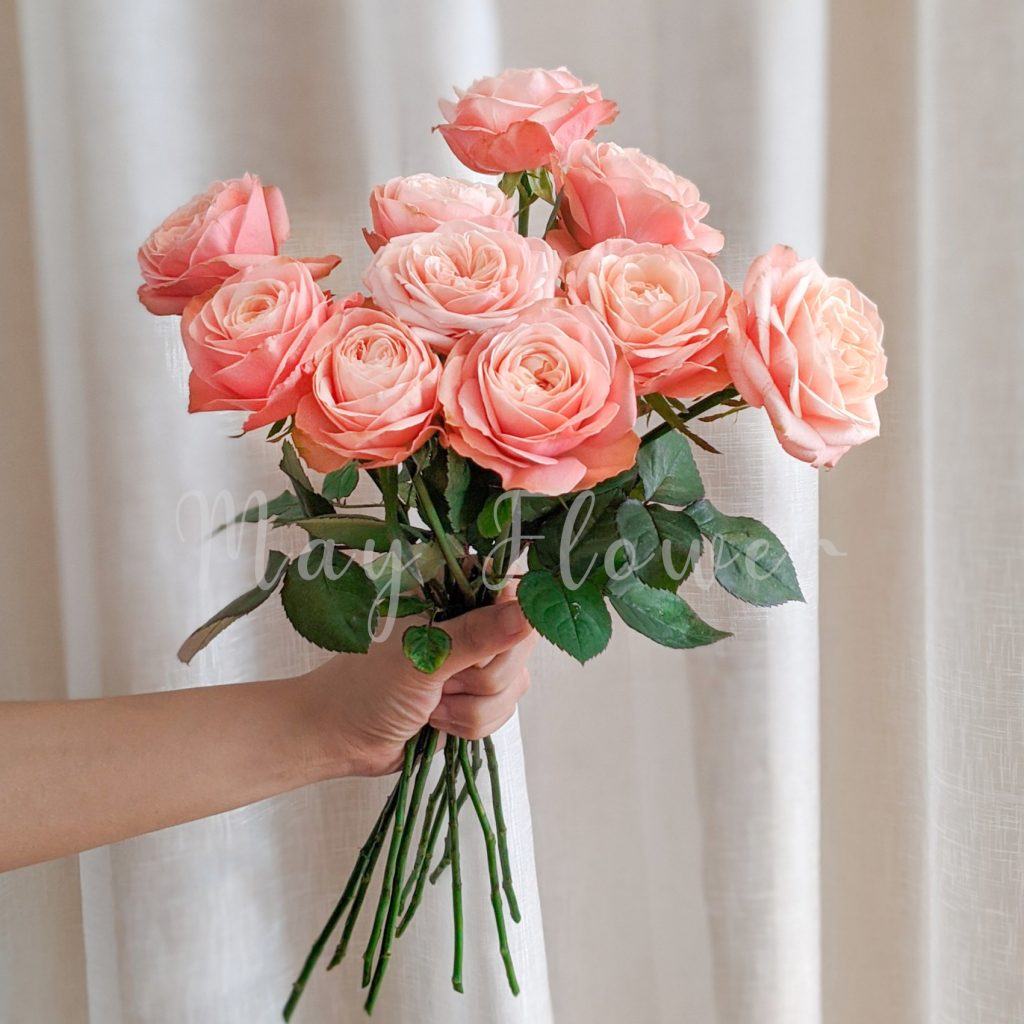 hoa deu bong- chum chim