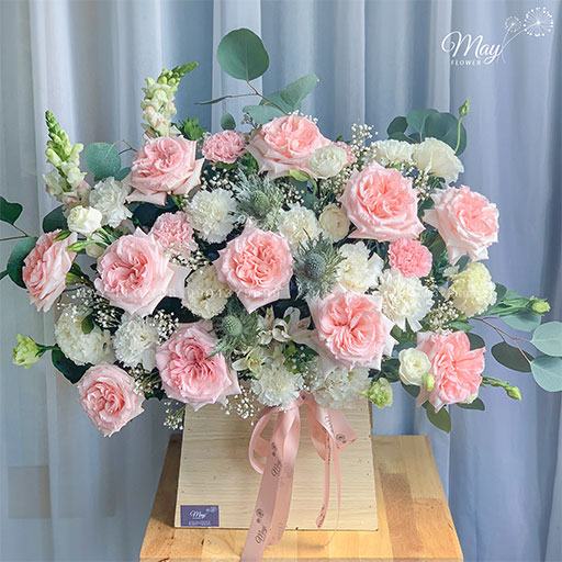 20/10 nen tang gi - lang-hoa-o'hara