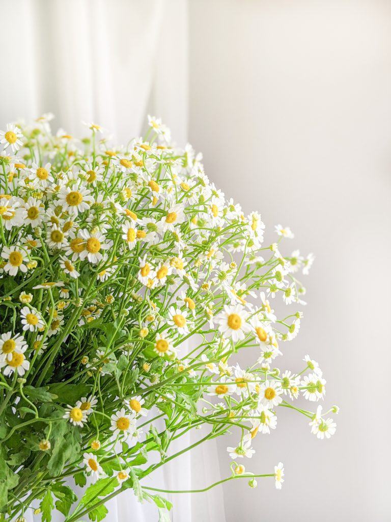 hoa tuoi online su cao quy cua tinh ban