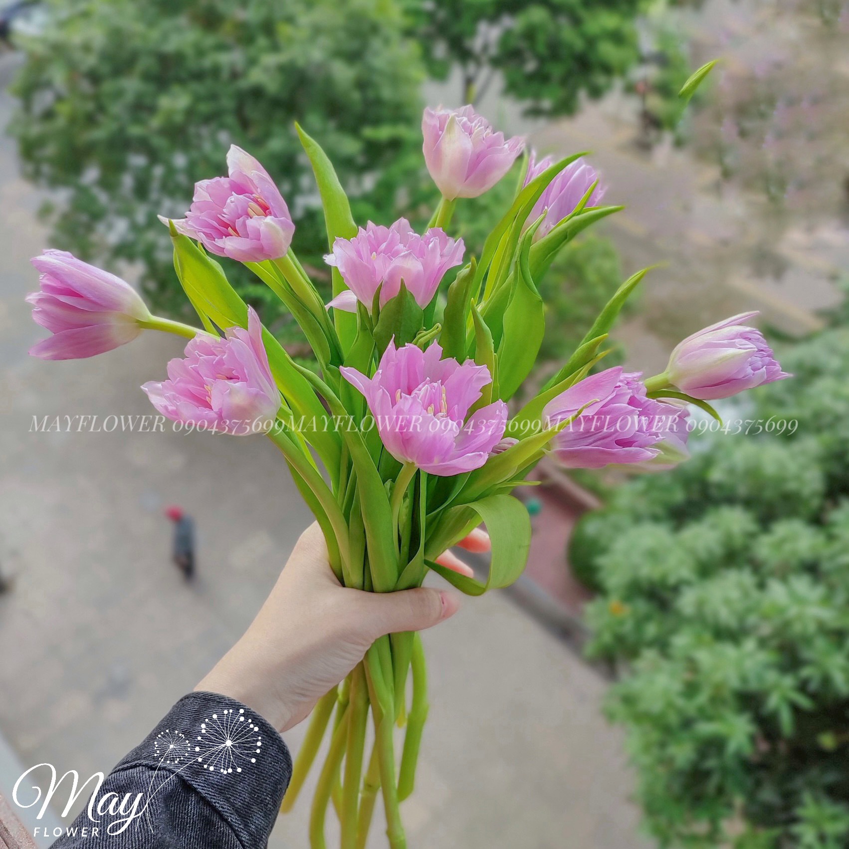 Top 3 mẫu hoa tặng cô giáo ngày 20/10 - Cửa hàng hoa tươi May Flower