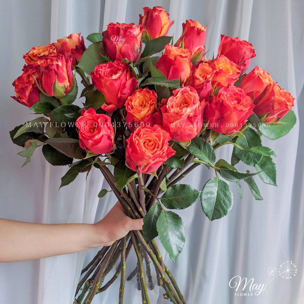 cach-bao-quan-hong-cam-lua