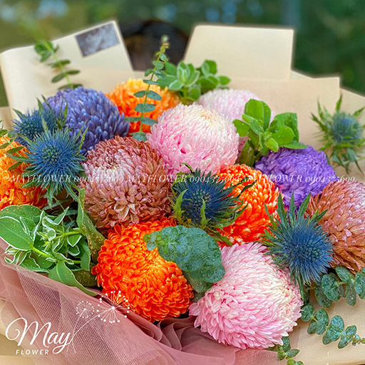 bo-cuc-mau-don-ngu-sac