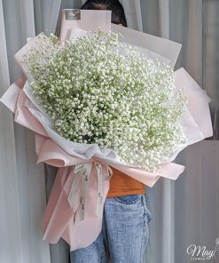 Hoa baby trắng