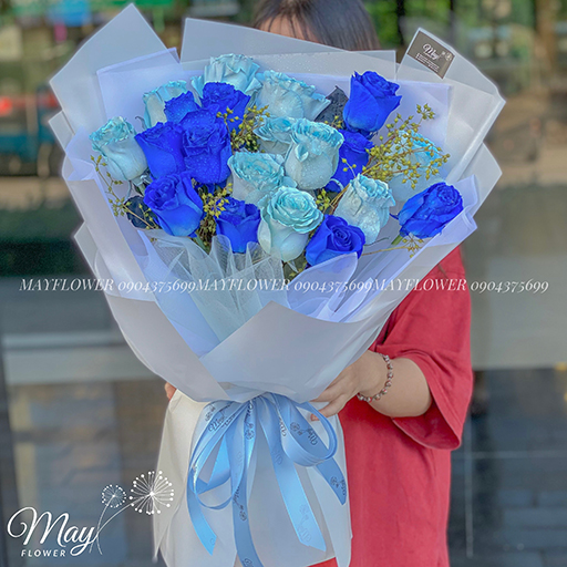baby-blue-rose