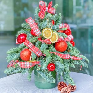 Cây thông tươi đan mạch