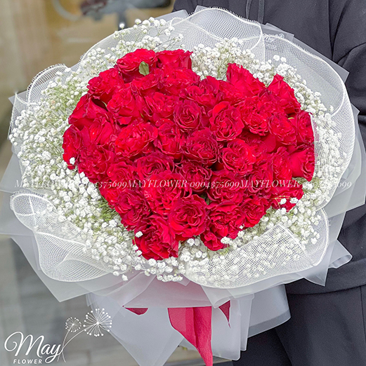 bo-hong-trai-tim-ecuador-heart