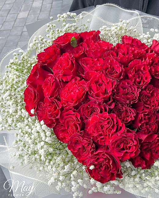 bo-hong-trai-tim-ecuador-heart