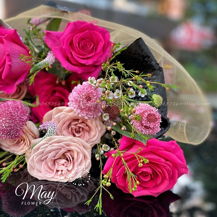 co-le-nao-ta-yeu-nhau