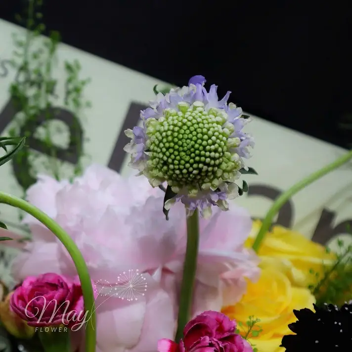can-tinh-yeu-3