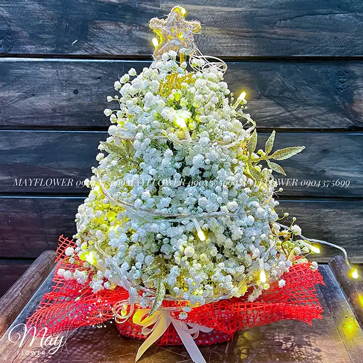 giang-sinh-an-lanh-1