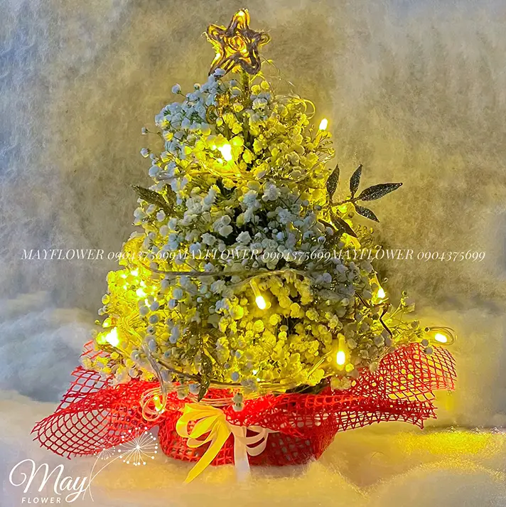 giang-sinh-an-lanh-3