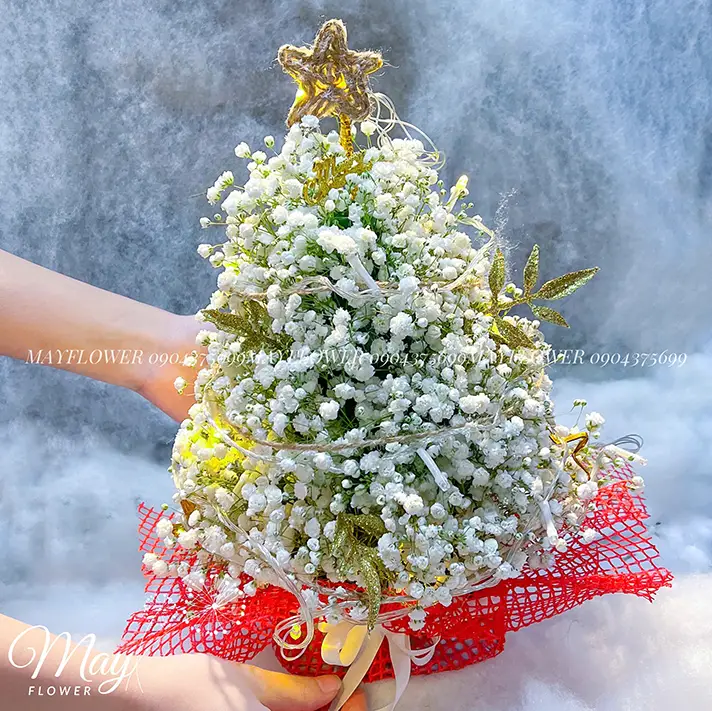 giang-sinh-an-lanh-2