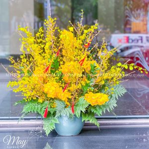 Mai Vàng - Bình Hoa Mai Mỹ - Cửa Hàng Hoa Tươi May Flower