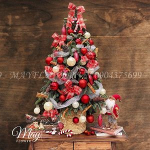 Sản Phẩm Noel