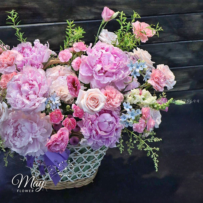 bong-benh-may-hong-2