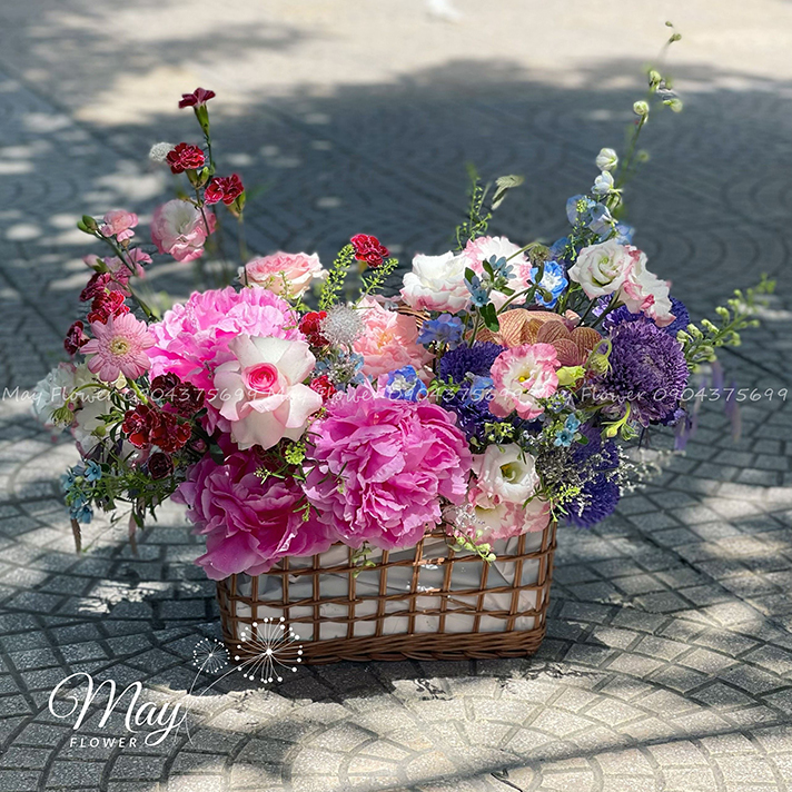 chim-vao-trong-may-1