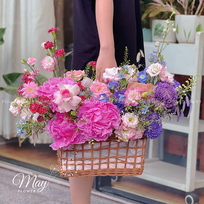 chim-vao-trong-may-2