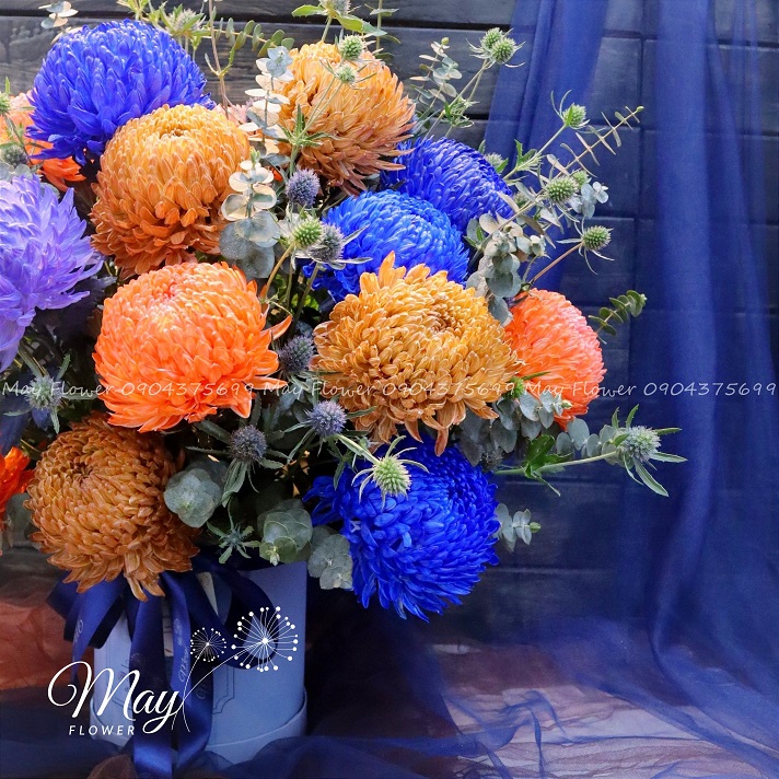 hop-hoa-cuc-mau-don-2