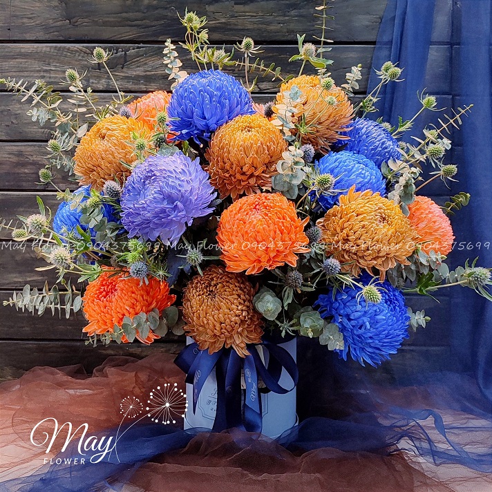 hop-hoa-cuc-mau-don-1