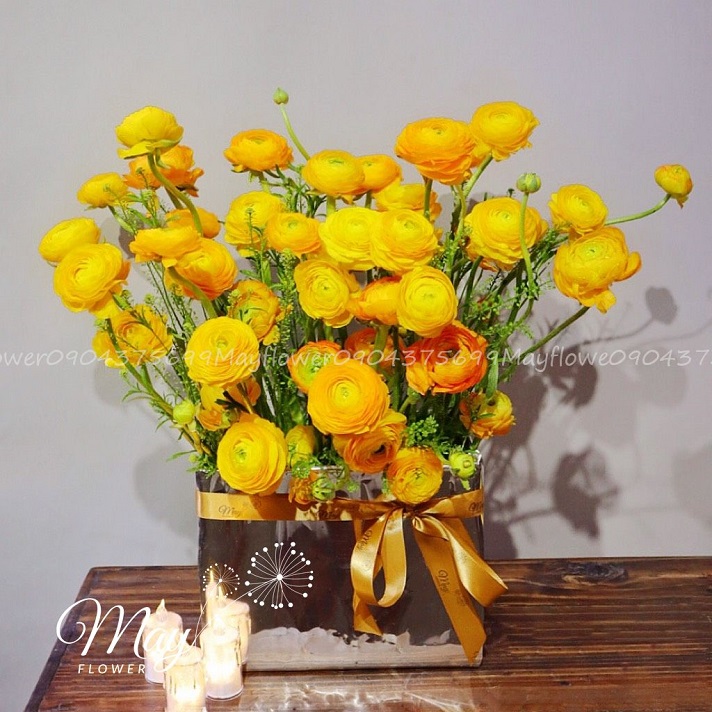 hop-mao-luong-vang-1