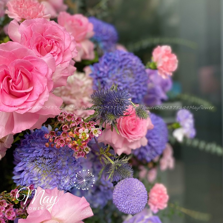 huong-sac-hoa-xuan-2