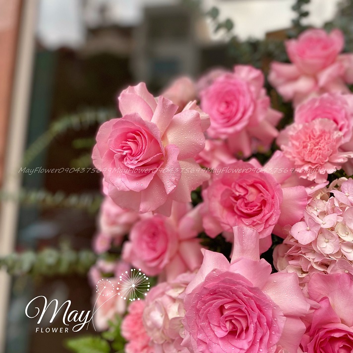 huong-sac-hoa-xuan-3