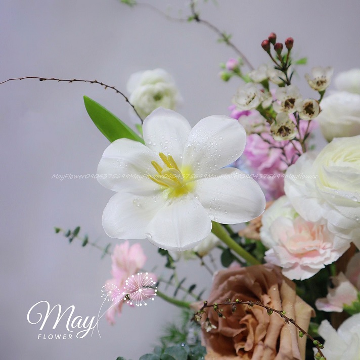 khoanh-khac-nho-thuong-2