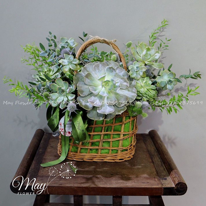 khung-troi-binh-yen-1