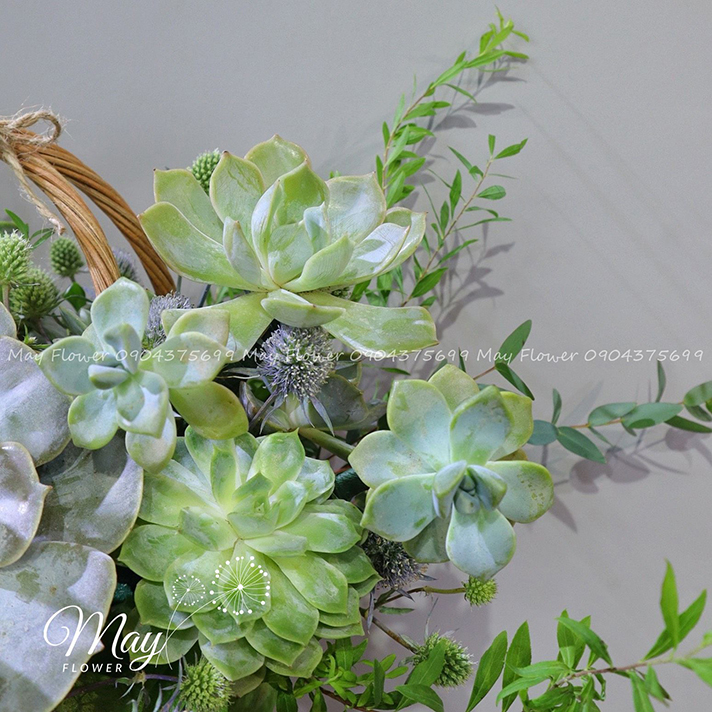 khung-troi-binh-yen-2